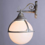 Уличный настенный светильник Arte Lamp Monaco A1492AL-1WG