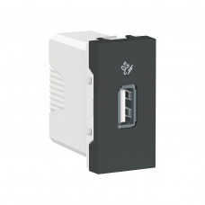 Розетка компьютерная USB Schneider Electric Unica New Modular NU342854