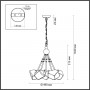 Подвесная люстра Odeon Light Stono 4789/5A