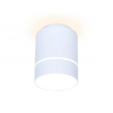 Потолочный светодиодный светильник Ambrella light Techno Spot TN256