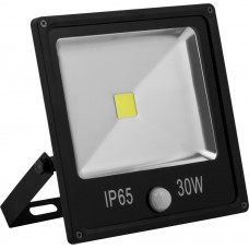 Светодиодный прожектор Feron с встроенным датчиком LL-862 IP65 30W 6400K
