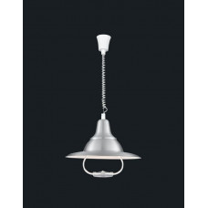 Подвесной светильник Pendants 1 A3638SP-1SS Arte Lamp