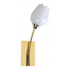 Бра Tulip A8292AP-1PB Arte Lamp