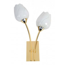 Бра Tulip A8292AP-2PB Arte Lamp