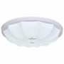 Накладной светильник Escada 10231 10231/S LED