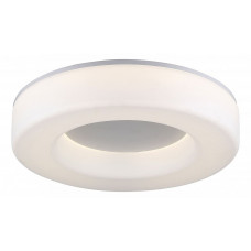 Накладной светильник Lordin SL886.512.01_LED ST-Luce