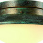 Накладной светильник Gambrinus A9256PL-1BG