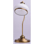 Настольная лампа декоративная Аманда 481031301