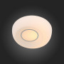 Накладной светильник Botone SL467.502.01