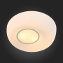 Накладной светильник Botone SL467.502.02