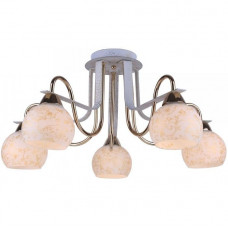 Светильник потолочный Arte Lamp A8181PL-5WG PAOLA