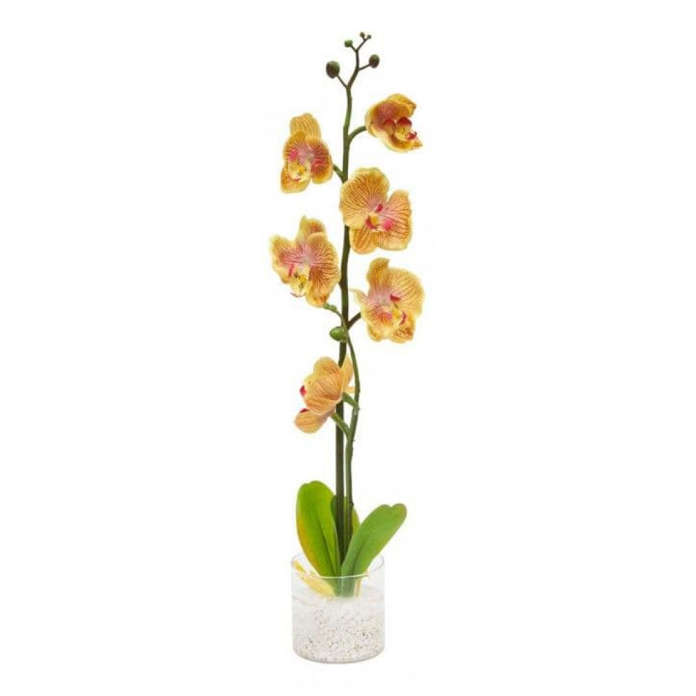 Купить желтую орхидею в горшке. Желтая Орхидея в горшке. Желтые орхидеи в вазоне. Маленькая желтая Орхидея в горшке.
