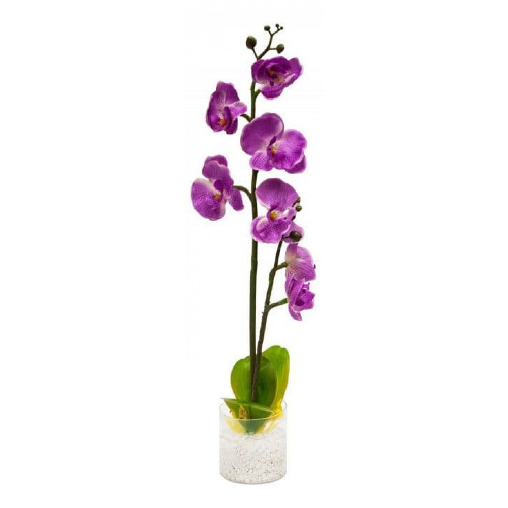 Орхидея в горшке екатеринбург. Фаленопсис Касхи. Орхидея в горшке. Орхидея фиолетовая в горшке. Искусственная Орхидея в горшке.