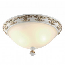 Потолочный светильник Arte Lamp Benessere A9570PL-2WG