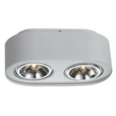 Потолочный светильник Arte Lamp Cliff A5643PL-2WH