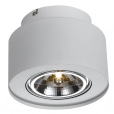 Потолочный светильник Arte Lamp Cliff A5643PL-1WH