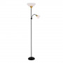 Торшер Arte Lamp Duetto A9569PN-2BK