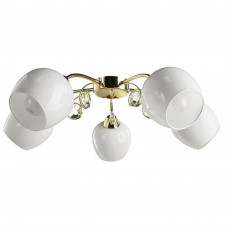 Потолочная люстра Arte Lamp Millo A9549PL-5GO