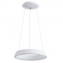 Подвесной светодиодный светильник Arte Lamp A6240SP-1WH