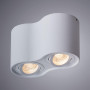 Потолочный светильник Arte Lamp Falcon A5645PL-2WH